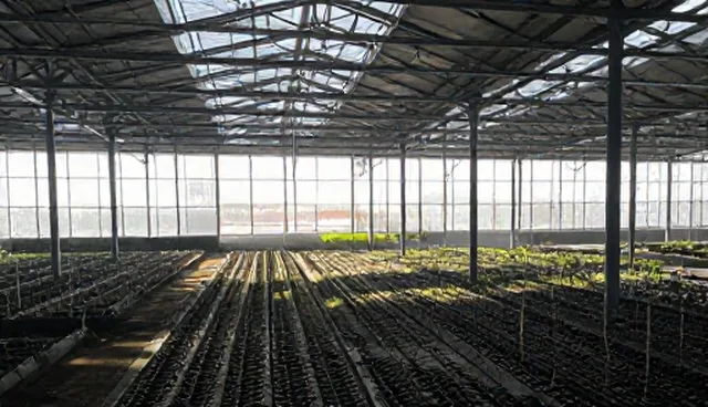 系统兼容性在多场景下的实际挑战与应对策略